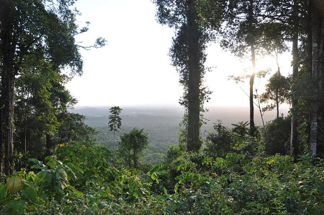 Trésor Regional Nature Reserve